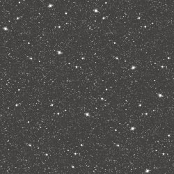 Veggfóður Tiny Tots 2 - G78407